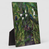 Plaque Photo Les jungles de Tikal (Côté)