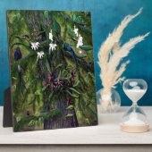 Plaque Photo Les jungles de Tikal (Côté)