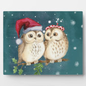 Plaque Photo Les Owls (Devant)