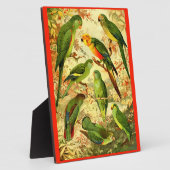 Plaque Photo Les perroquets (Côté)