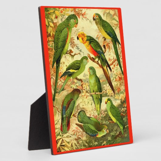 Plaque Photo Les perroquets (Côté)