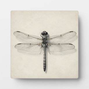 Plaque Photo Libellule métallique détaillée entomologique vinta