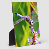 Plaque Photo libellule turquoise et violette (Côté)