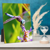 Plaque Photo libellule turquoise et violette (Côté)