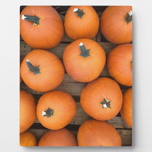 Plaque Photo Lignes citrouilles (Devant)