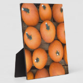 Plaque Photo Lignes citrouilles (Côté)