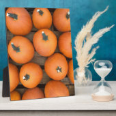 Plaque Photo Lignes citrouilles (Côté)