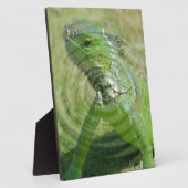 Plaque Photo L'iguane vert (Côté)