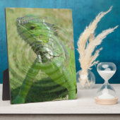 Plaque Photo L'iguane vert (Côté)
