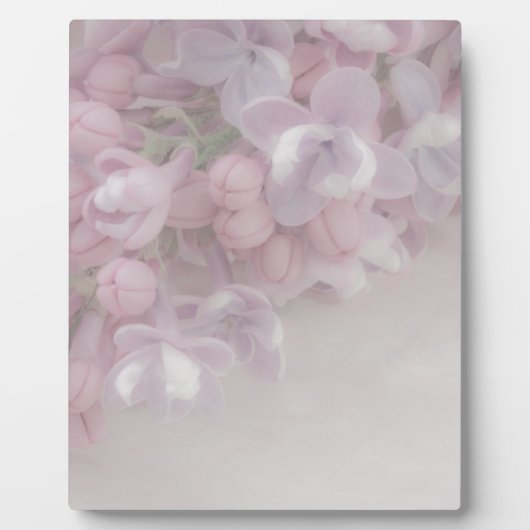 Plaque Photo Lilac (Devant)