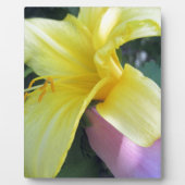 Plaque Photo Lily jaune (Devant)