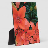 Plaque Photo Lily orange (Côté)