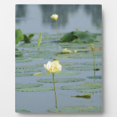 Plaque Photo Lily Pad (Devant)