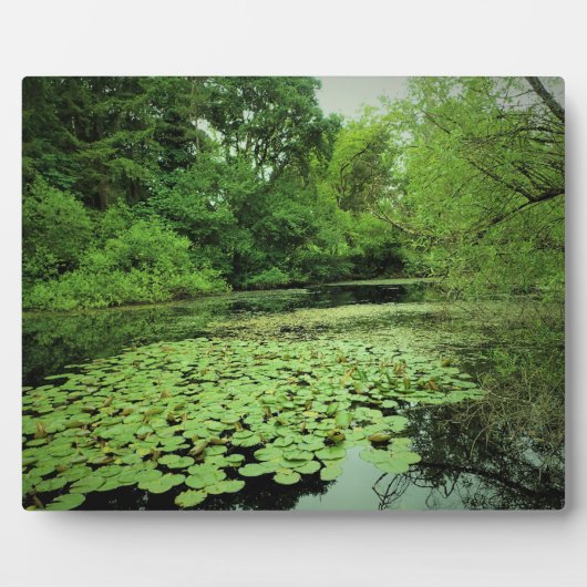 Plaque Photo Lily Pads sur le Pond (Devant)