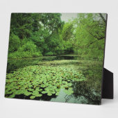 Plaque Photo Lily Pads sur le Pond (Côté)