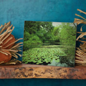 Plaque Photo Lily Pads sur le Pond (Côté)