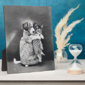 Plaque Photo L'Infirmière Chaton Chaton Harry Whittier Libère 1 (Côté)