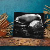Plaque Photo Lion de mer dormant .1781 (Côté)