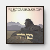Plaque Photo Lion Mizrach (Devant)