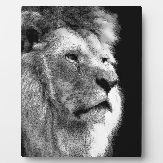 Plaque Photo Lion noir blanc (Devant)