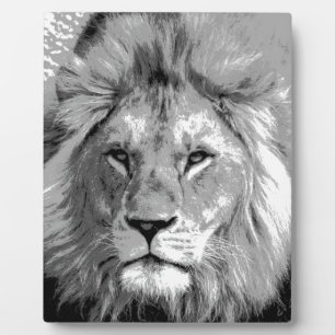 Plaque Photo Lion noir blanc