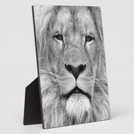 Plaque Photo Lion noir et blanc (Côté)