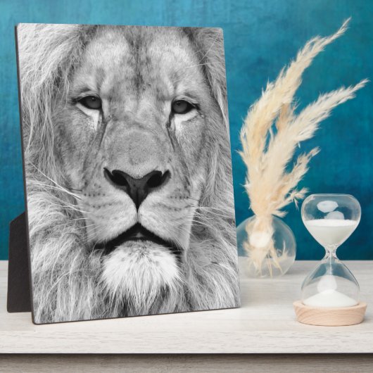 Plaque Photo Lion noir et blanc (Côté)