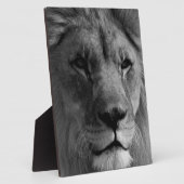 Plaque Photo Lion noir et blanc (Côté)