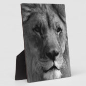Plaque Photo Lion noir et blanc (Côté)