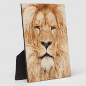 PLAQUE PHOTO LION PORTRAIT (Côté)