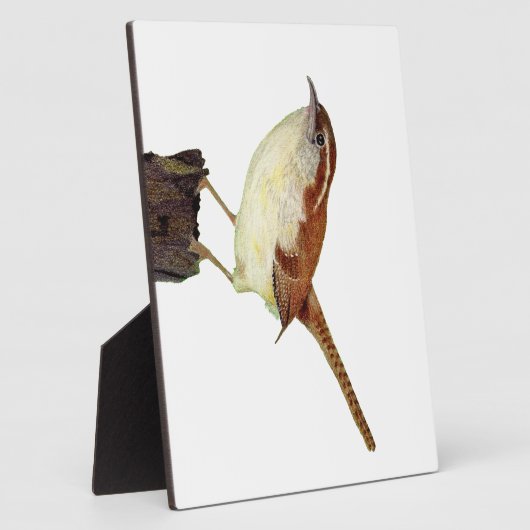 Plaque Photo Little Wren (Côté)