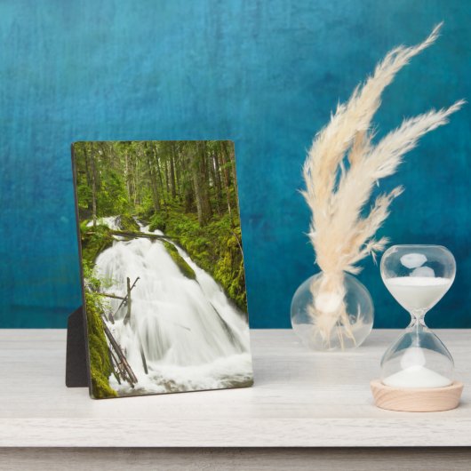 Plaque Photo Little Zig Zag Falls | Forêt nationale du mont Hoo (Côté)