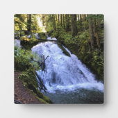 Plaque Photo Little Zigzag (Devant)