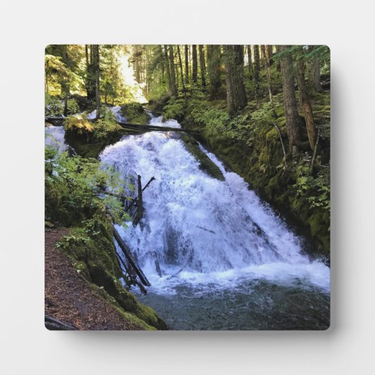 Plaque Photo Little Zigzag (Devant)