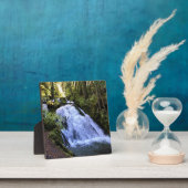 Plaque Photo Little Zigzag (Insitu)