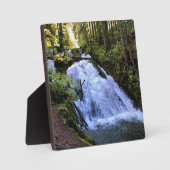 Plaque Photo Little Zigzag (Recto)