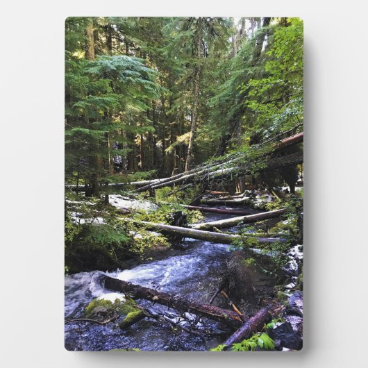 Plaque Photo Little Zigzag (Devant)