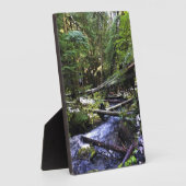 Plaque Photo Little Zigzag (Côté)