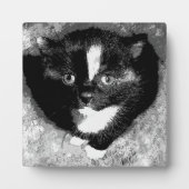 Plaque Photo L'observateur silencieux (Devant)