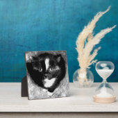 Plaque Photo L'observateur silencieux (Insitu)