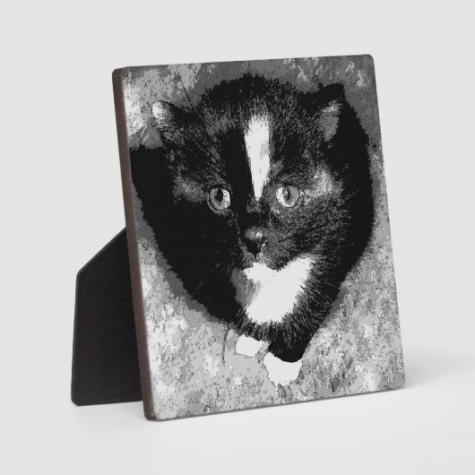 Plaque Photo L'observateur silencieux (Recto)