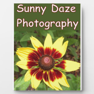 Plaque Photo Logo photo Sunny Daze