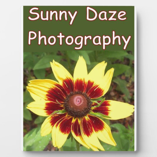 Plaque Photo Logo photo Sunny Daze (Devant)