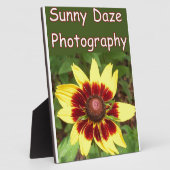 Plaque Photo Logo photo Sunny Daze (Côté)
