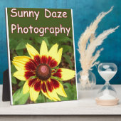 Plaque Photo Logo photo Sunny Daze (Côté)