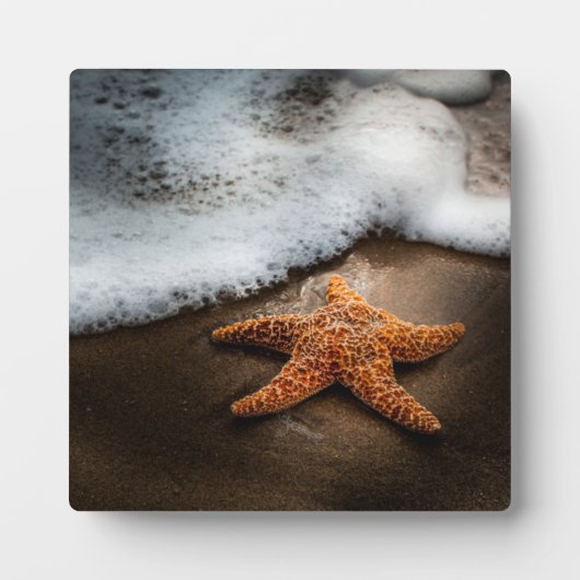 Plaque Photo Lonely Starfish Sur La Plage (Devant)