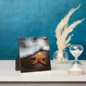 Plaque Photo Lonely Starfish Sur La Plage (Insitu)