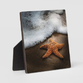 Plaque Photo Lonely Starfish Sur La Plage (Recto)