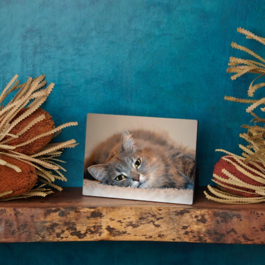 Plaque Photo Long chapeau bleu russe par Shirley Taylor (Côté)