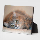 Plaque Photo Long chapeau bleu russe par Shirley Taylor (Côté)